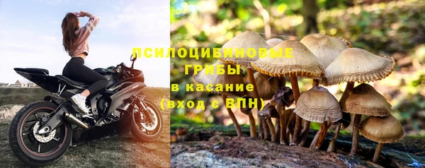 трава Вяземский