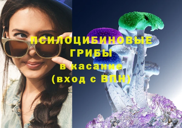 apvp Горнозаводск