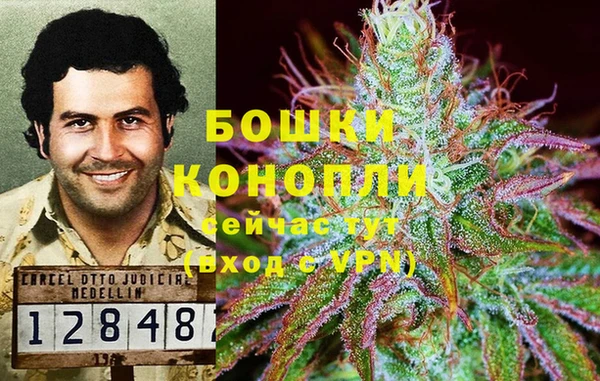СК Горно-Алтайск