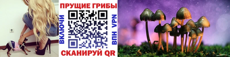 Купить  Хадыженск  Псилоцибиновые грибы GOLDEN TEACHER 